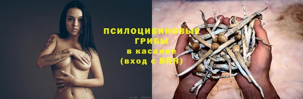 экстази Тавда