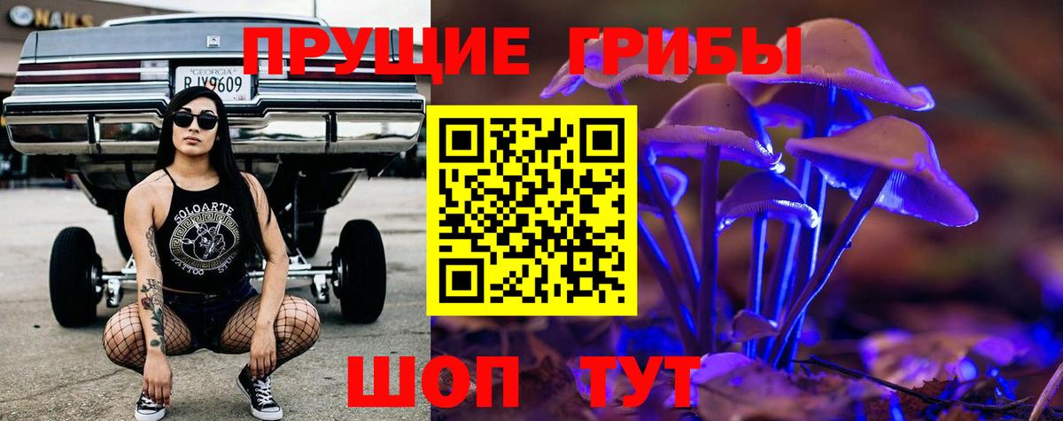 Галлюциногенные грибы Psilocybe Екатеринбург