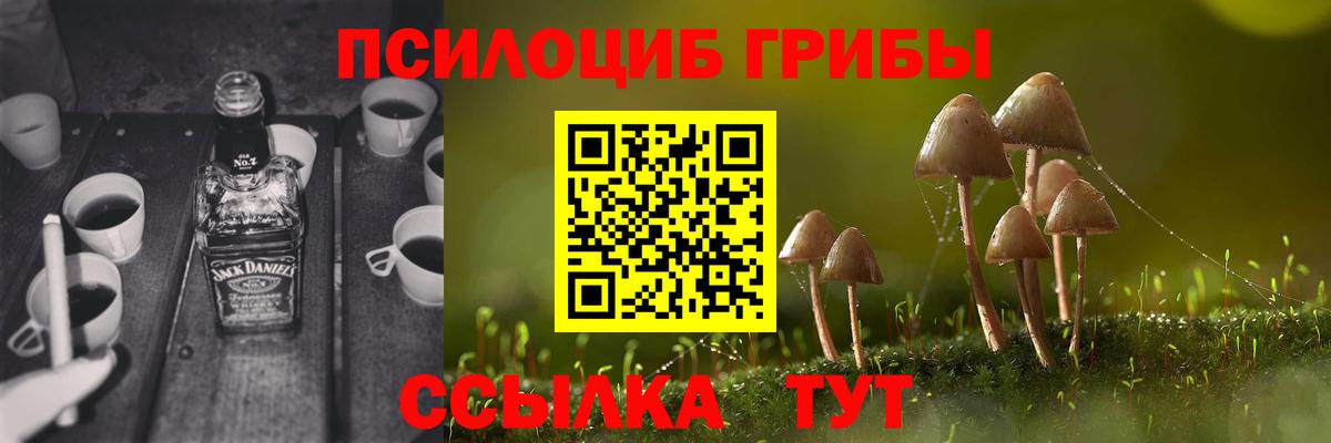Псилоцибиновые грибы Psilocybe  Вход с VPN  Екатеринбург 